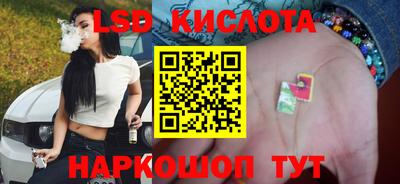 молекула духа Гатчина
