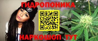 молекула духа Гатчина