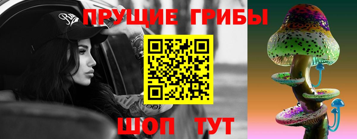 Псилоцибиновые грибы GOLDEN TEACHER Миасс